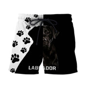 Personalized Labrador Dog 3D All Over Printed Unisex Shirt AK